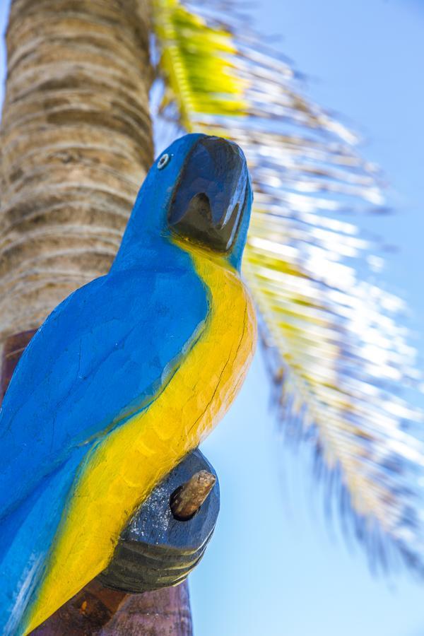 Pousada Cores Dos Corais Maracajaú Exterior foto